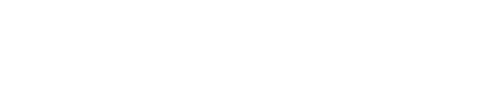 bizpla inc.